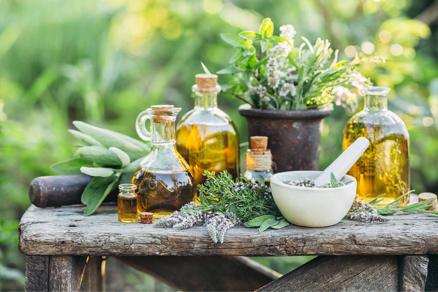 India Herbal Shampoo Market Insights & Trends 2030F