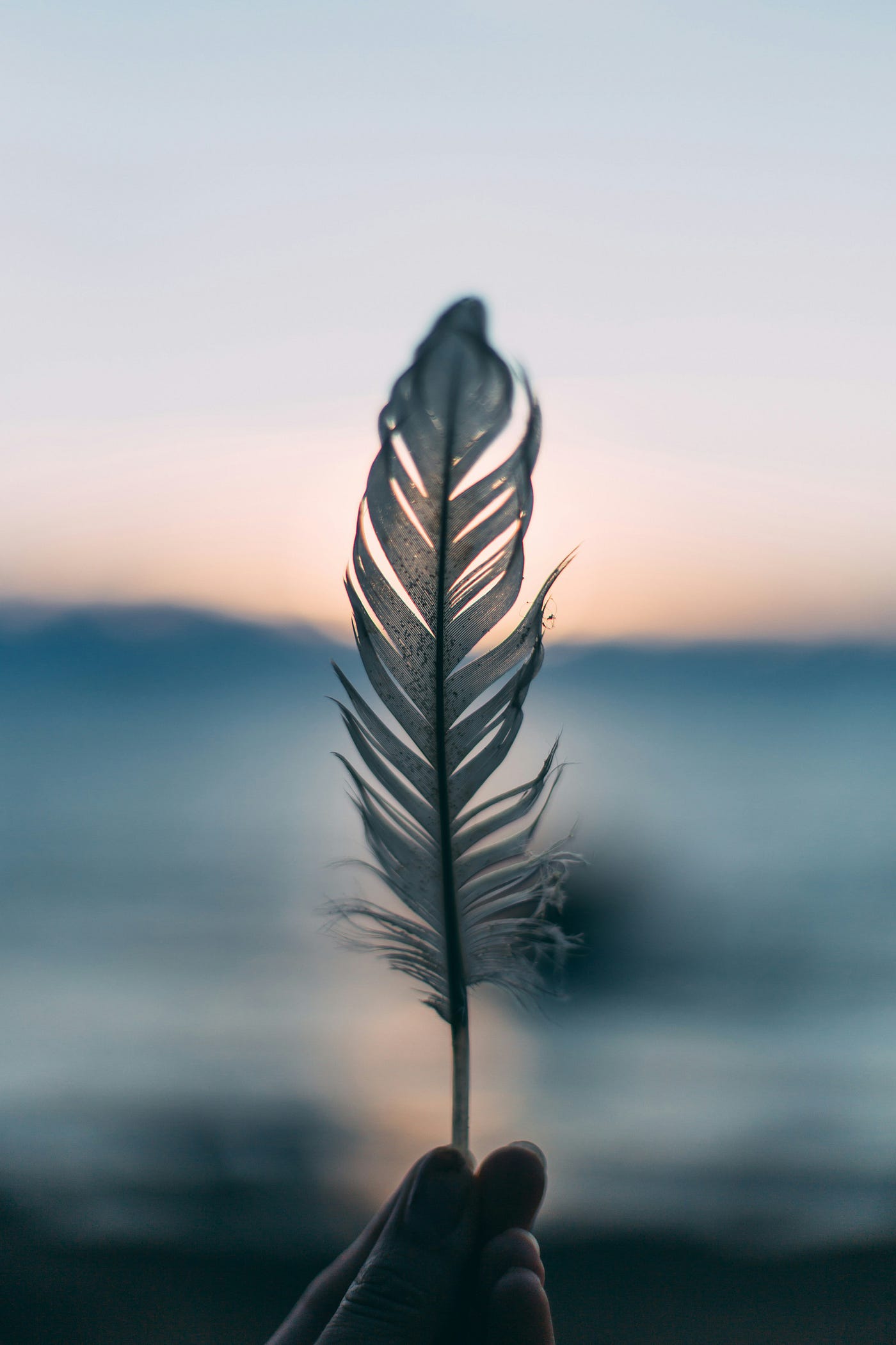 Photo by Daiga Ellaby on Unsplash