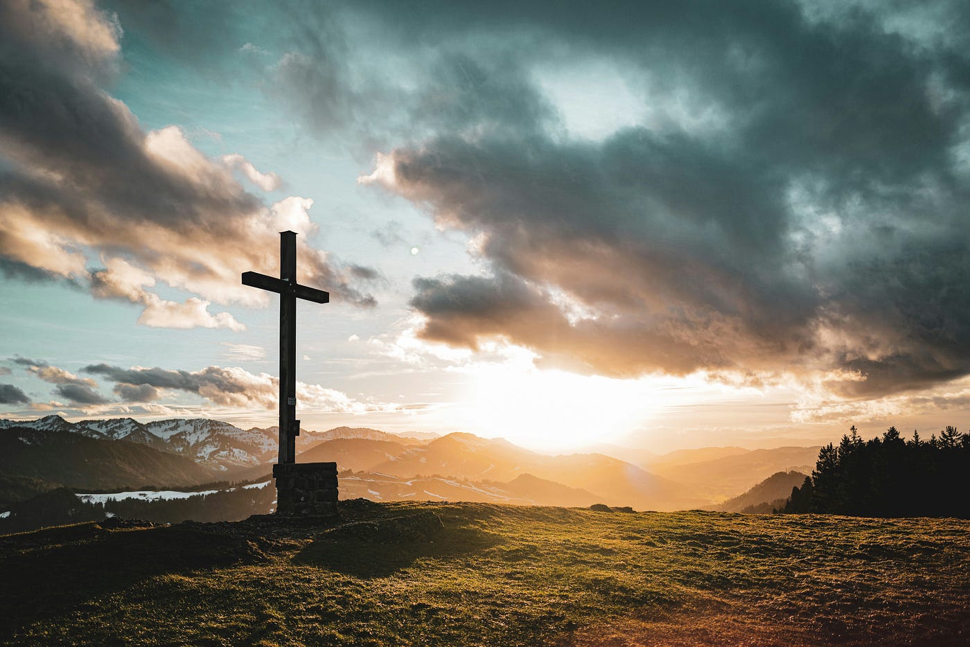 Photo by Jonas Allert on Unsplash