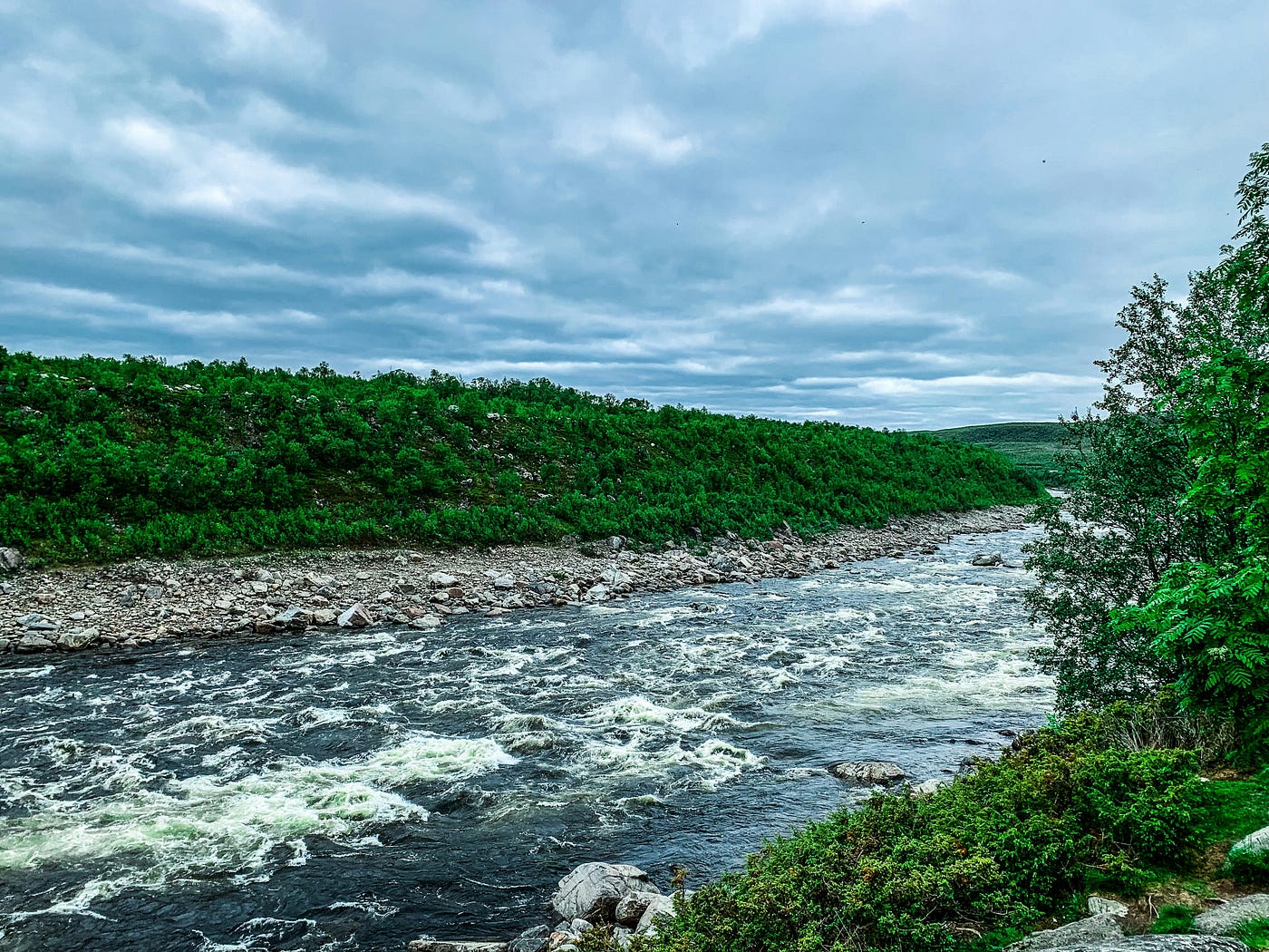 Photo by Petteri Selin on Unsplash