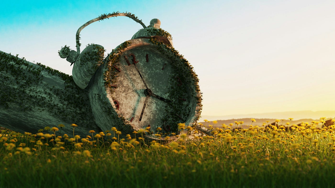 Photo by manas rb on Unsplash