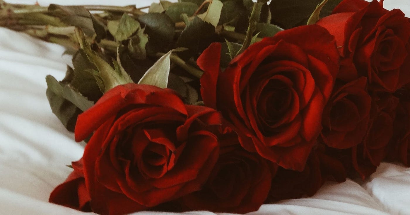 Rose Giving Rules In China | How Many Should You Give To Seem Serious? | by  Yasmin Del Rosario | Medium