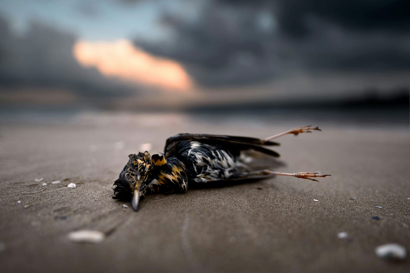 Photo by Angel Santos on Unsplash