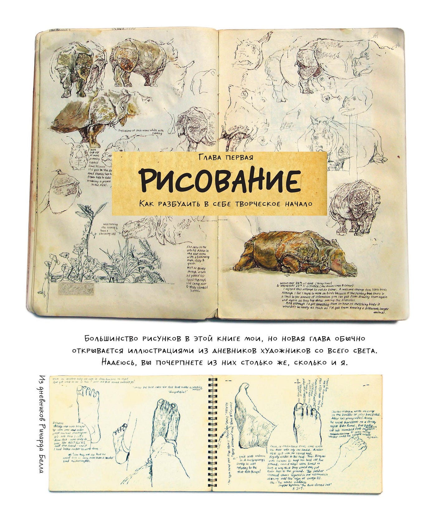 Бесплатная глава из книги Творческие права Дэнни Грегори | by Оди. О  дизайне | Medium