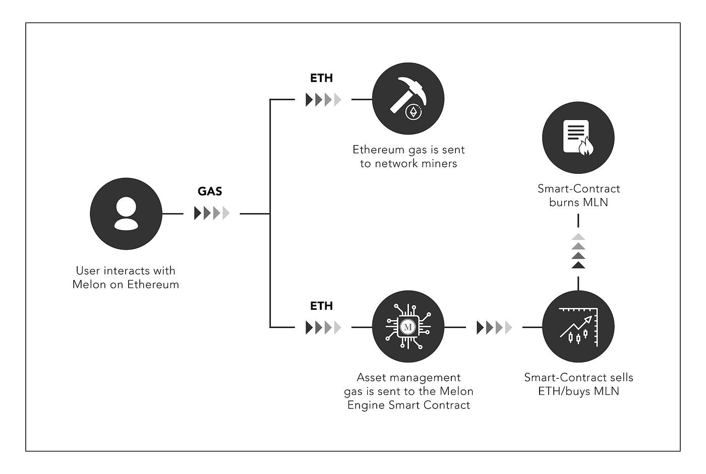 Everything you always wanted to know about Melon but were too afraid to ask  | by Enzyme | Enzyme | Medium