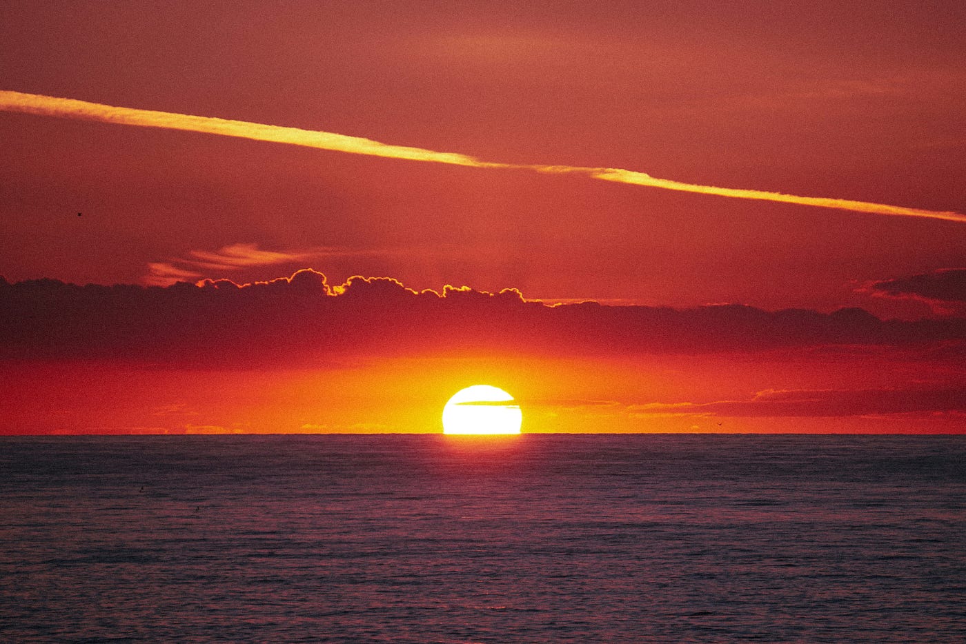 Photo by Thomas Fryatt on Unsplash