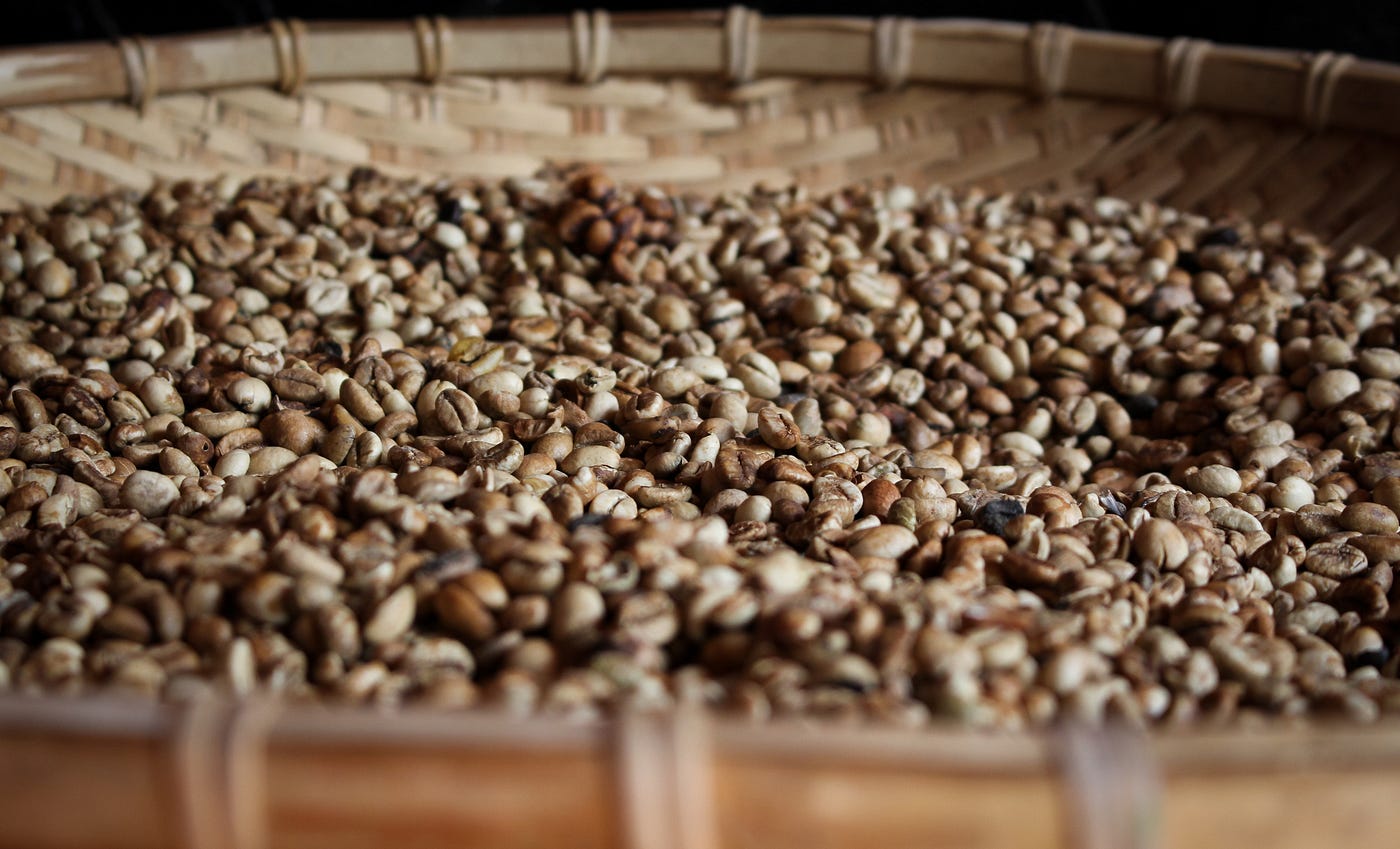 From Bean to Cup: The Main Stages of Coffee Production | by Rashad  Shirizada | Medium