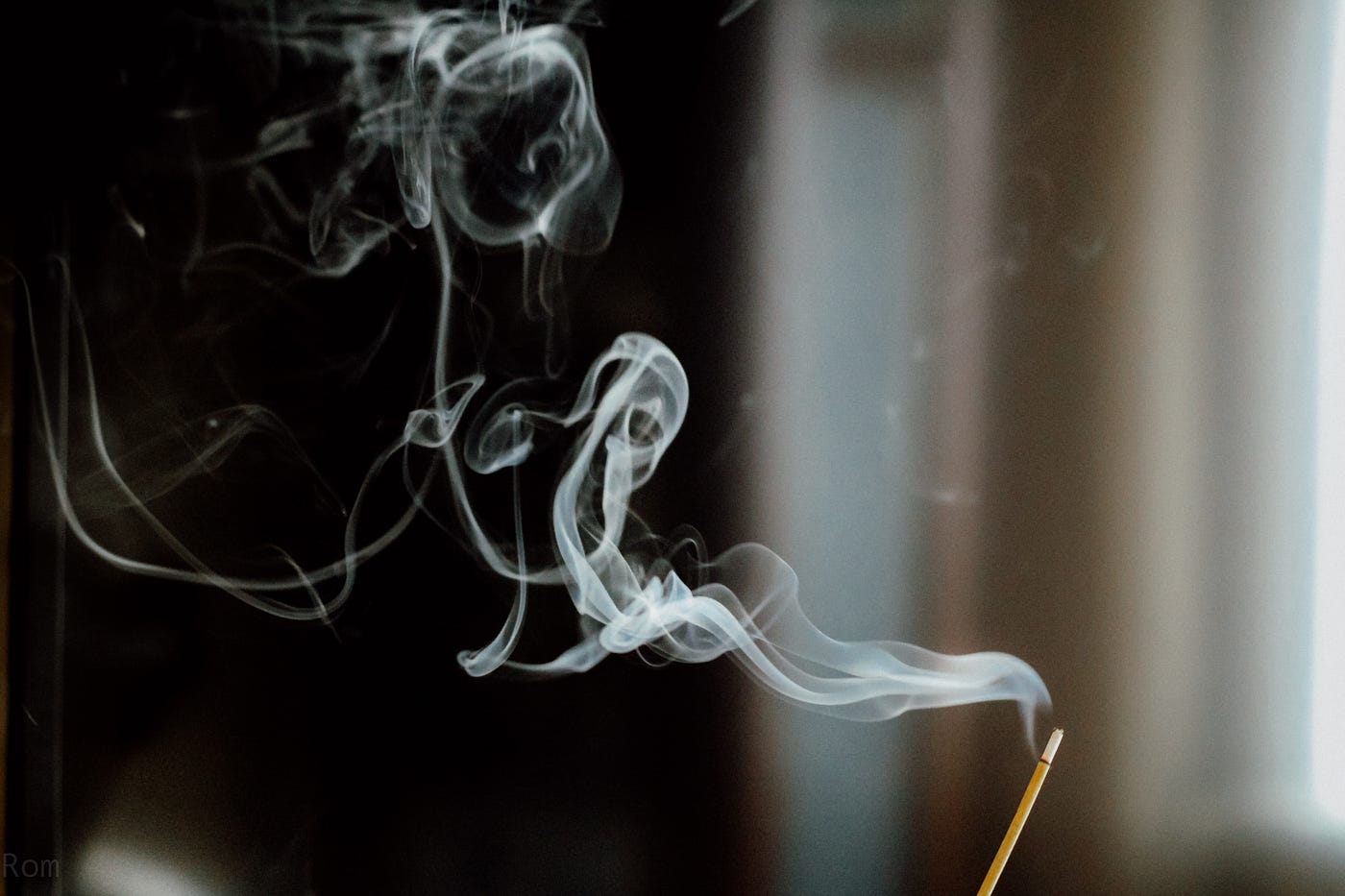 Photo by Daria Rom on Unsplash