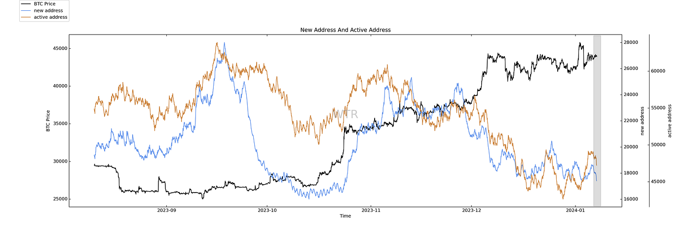 满目青山，载月明归｜WTR 1.08