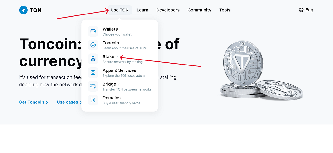 Cómo hacer staking de TON, Toncoin con Ledger Wallet | by Badalsardar |  Medium