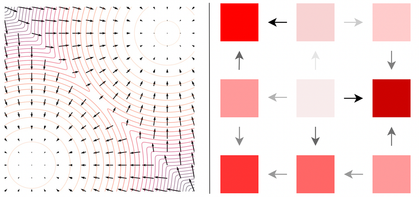 The Reverse Rate Matrix as The Discrete Analogue of Learning the Score Function