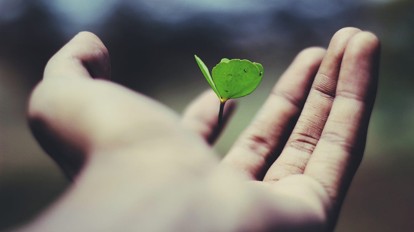 Photo by name_ gravity on Unsplash