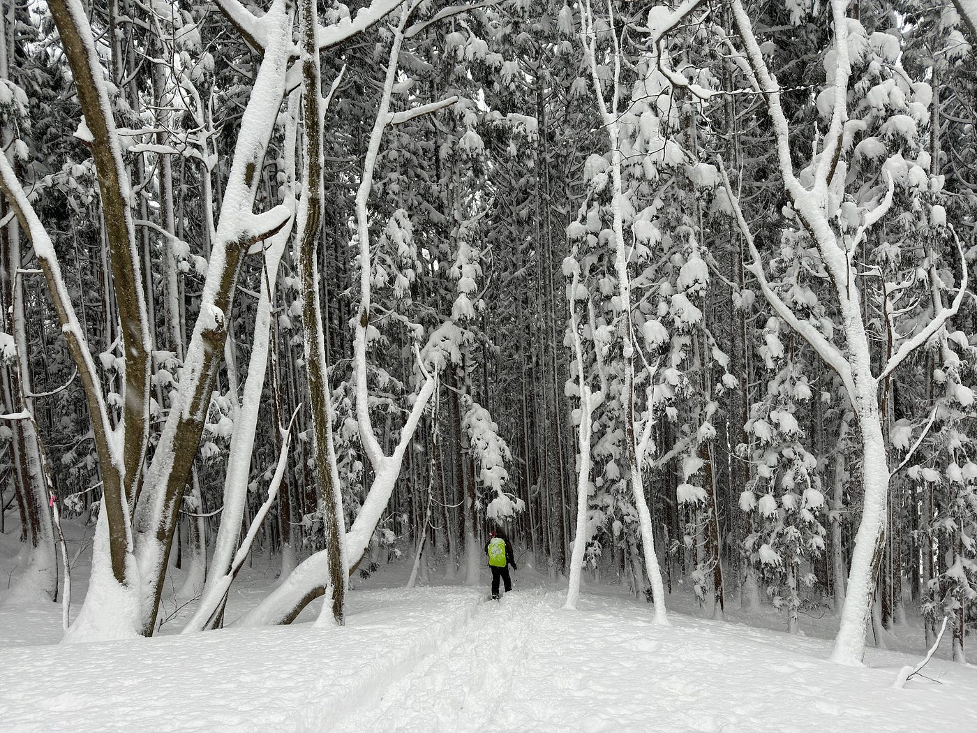How NOT to climb a mountain in winter | by Kiwi Yamabushi | Japan