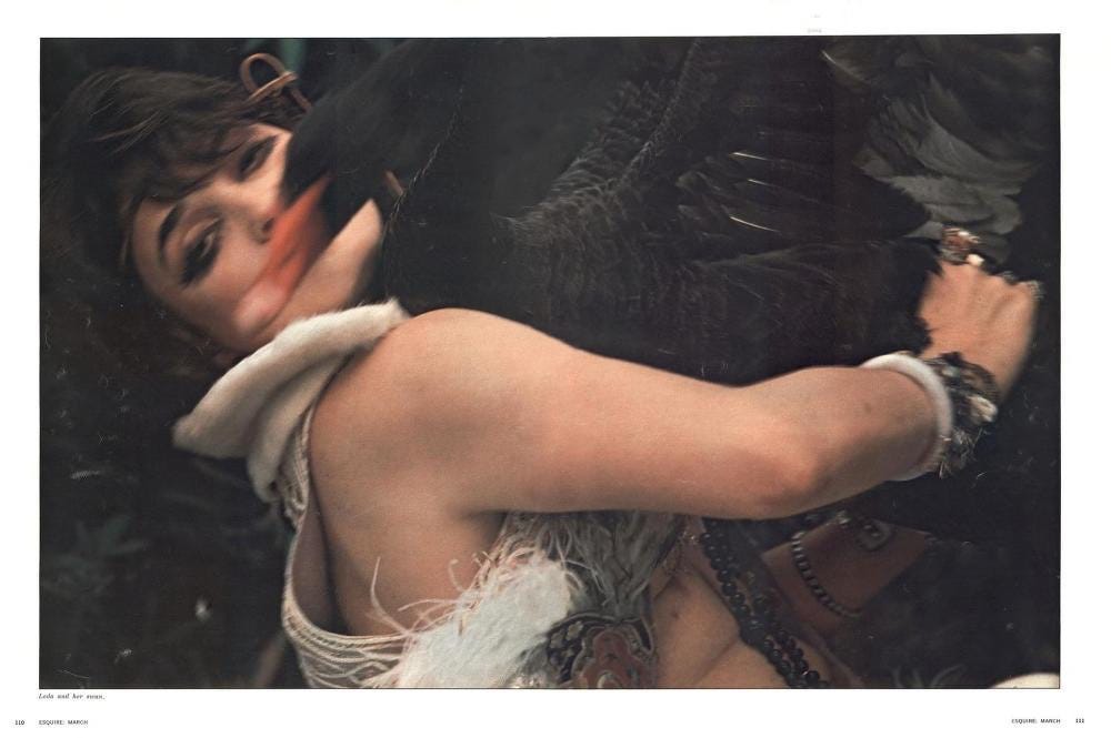 Artistic intimate portrait of a woman in feathered embrace, eyes closed, surrendered expression in moody dark setting, evoking hypnotic trance and sensual abandon