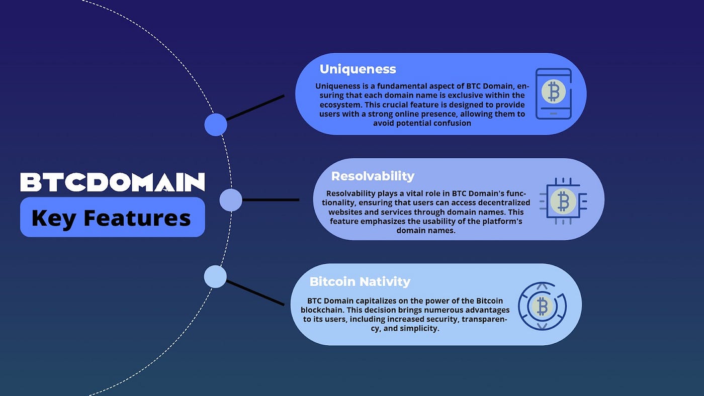 Project Overview: BTC Domain. Are you among those individuals who… | by  Slobodzeanb | Satoshi Club | Medium