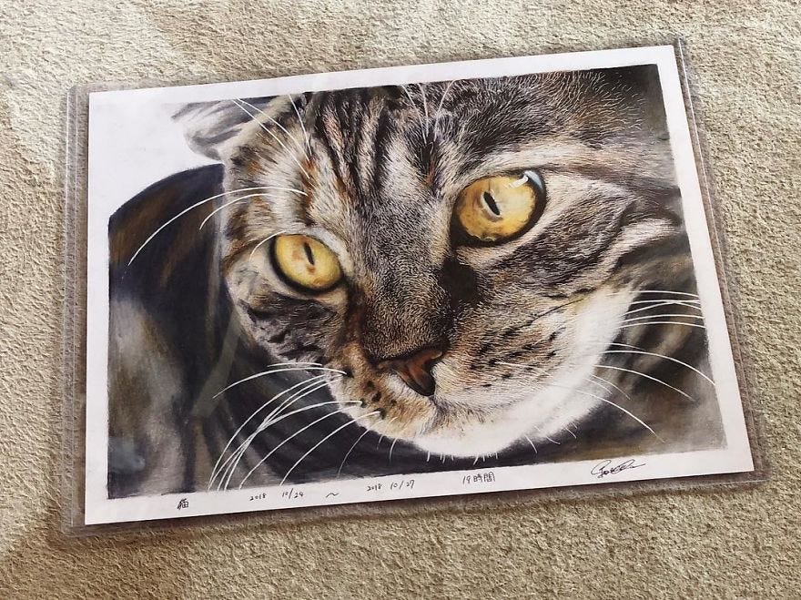 Desenhos hiper-realistas de gatinhos parecem fotos