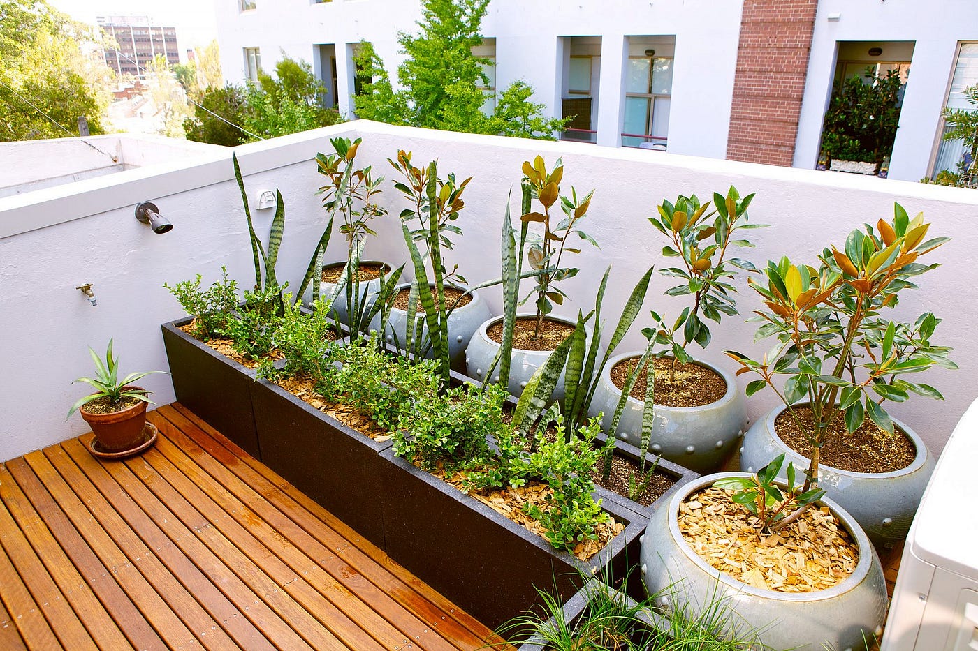 Roof garden discount
