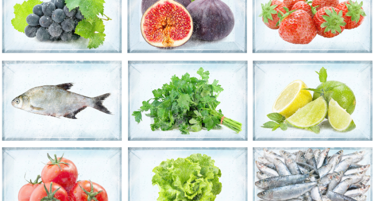 Cool Solutions: How Optimizing Cold Chain Logistics Can Help Save The Planet