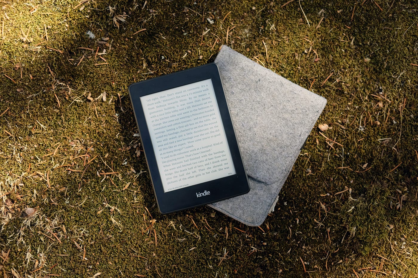 Kindle review (10th gen)