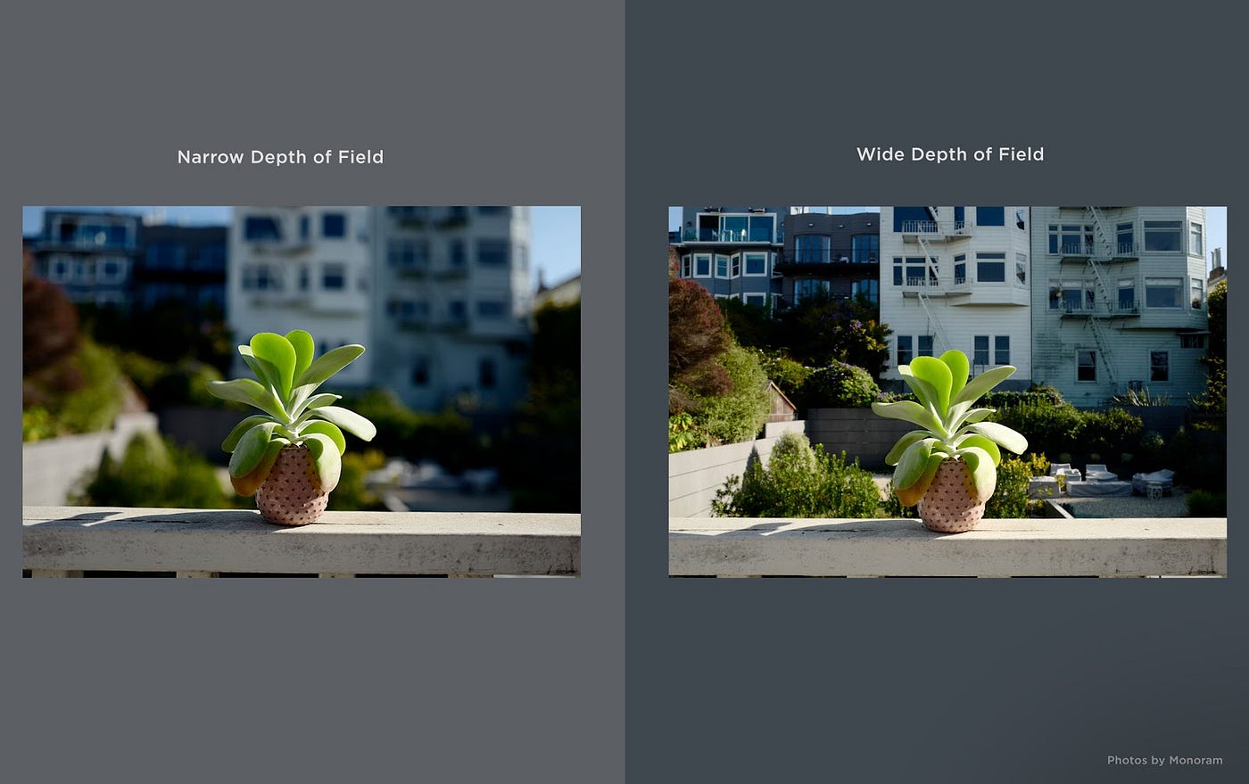 deep depth of field photography