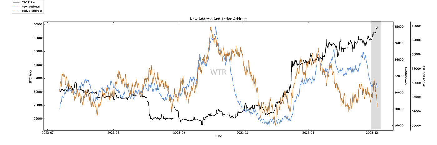 梅英疏淡，冰澌溶泄｜WTR 12.04