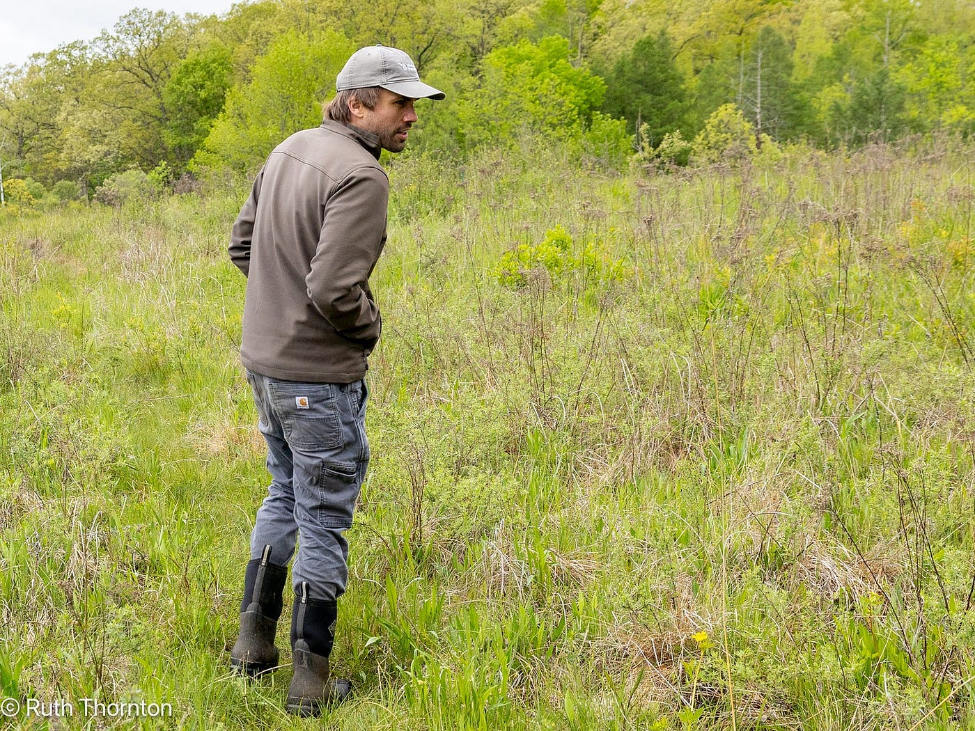 Logan Rowe, conservation associate with the Michigan Natural Features Inventory, surveys for rare insects. Credit: Ruth Thornton.