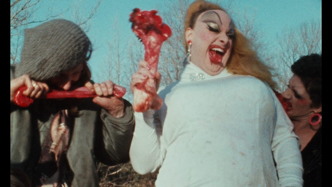 Pink flamingos chicken scene
