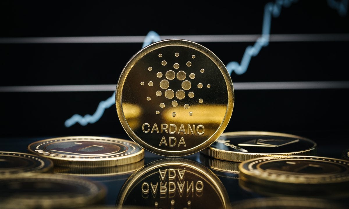 Top Cryptocurrencies for Long-Term Growth: Coins That Could Deliver 1000x  Returns in Just One Year | Medium