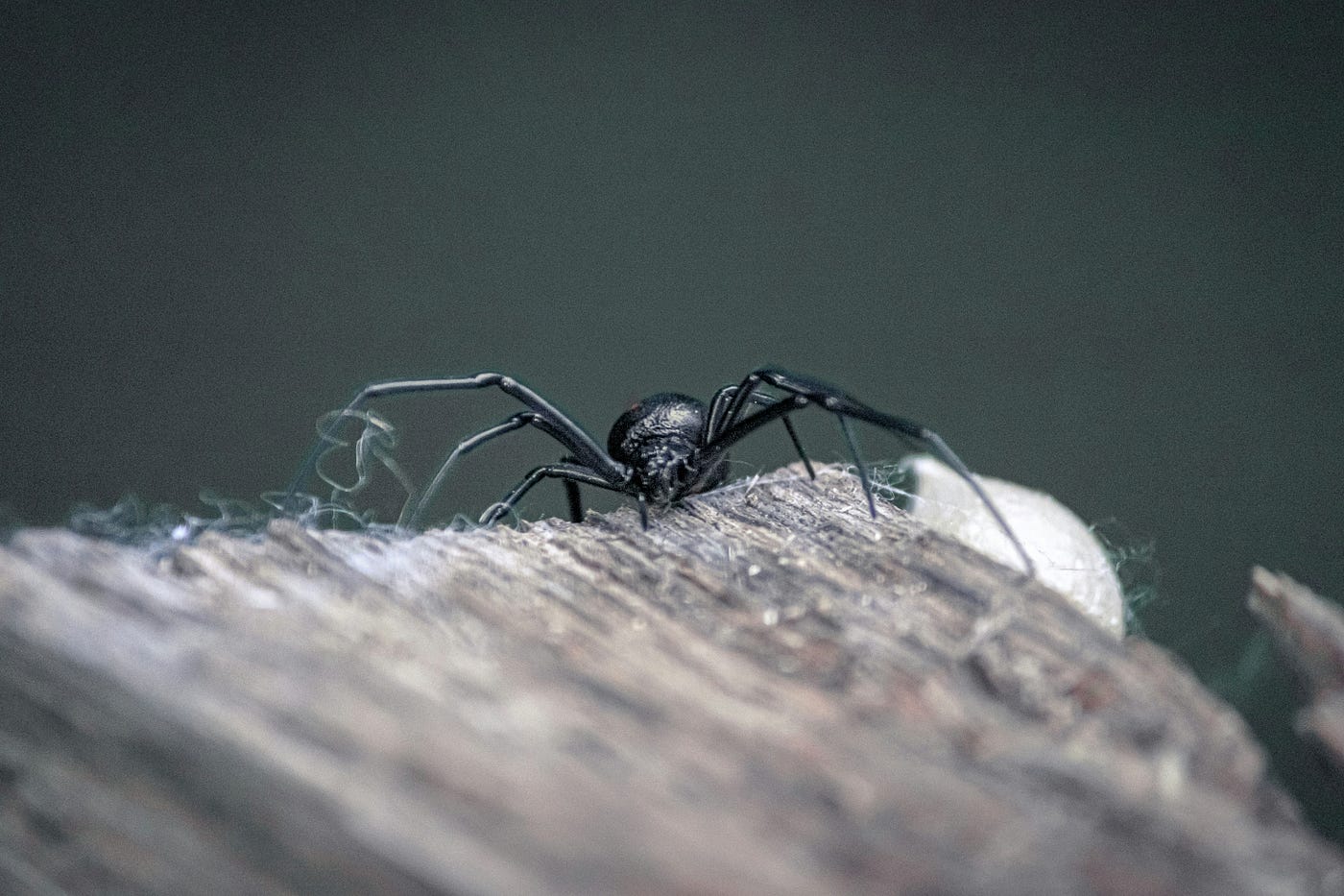 Photo by Tom Sid on Unsplash