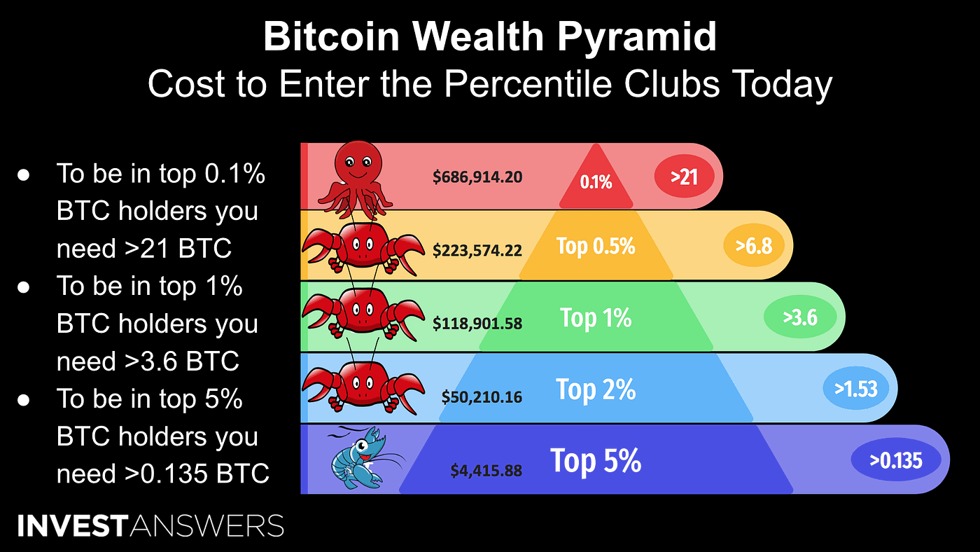 The Bitcoin Wealth Pyramid — How Much Money Do You Need to Join the Elite?  | by Pavle Marinkovic | DataDrivenInvestor