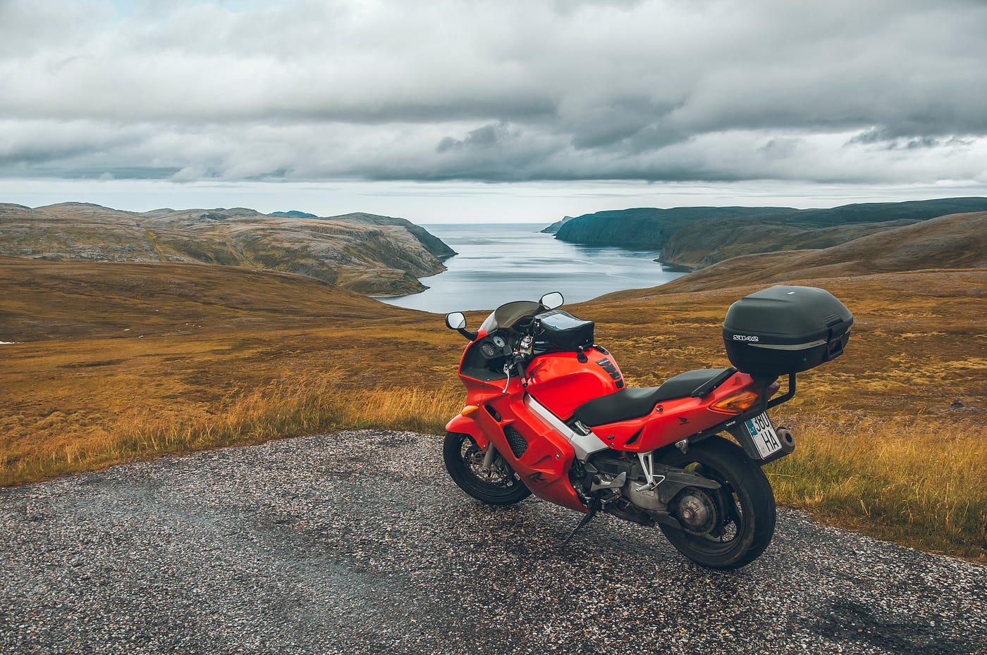 Photo by Lina White on Unsplash