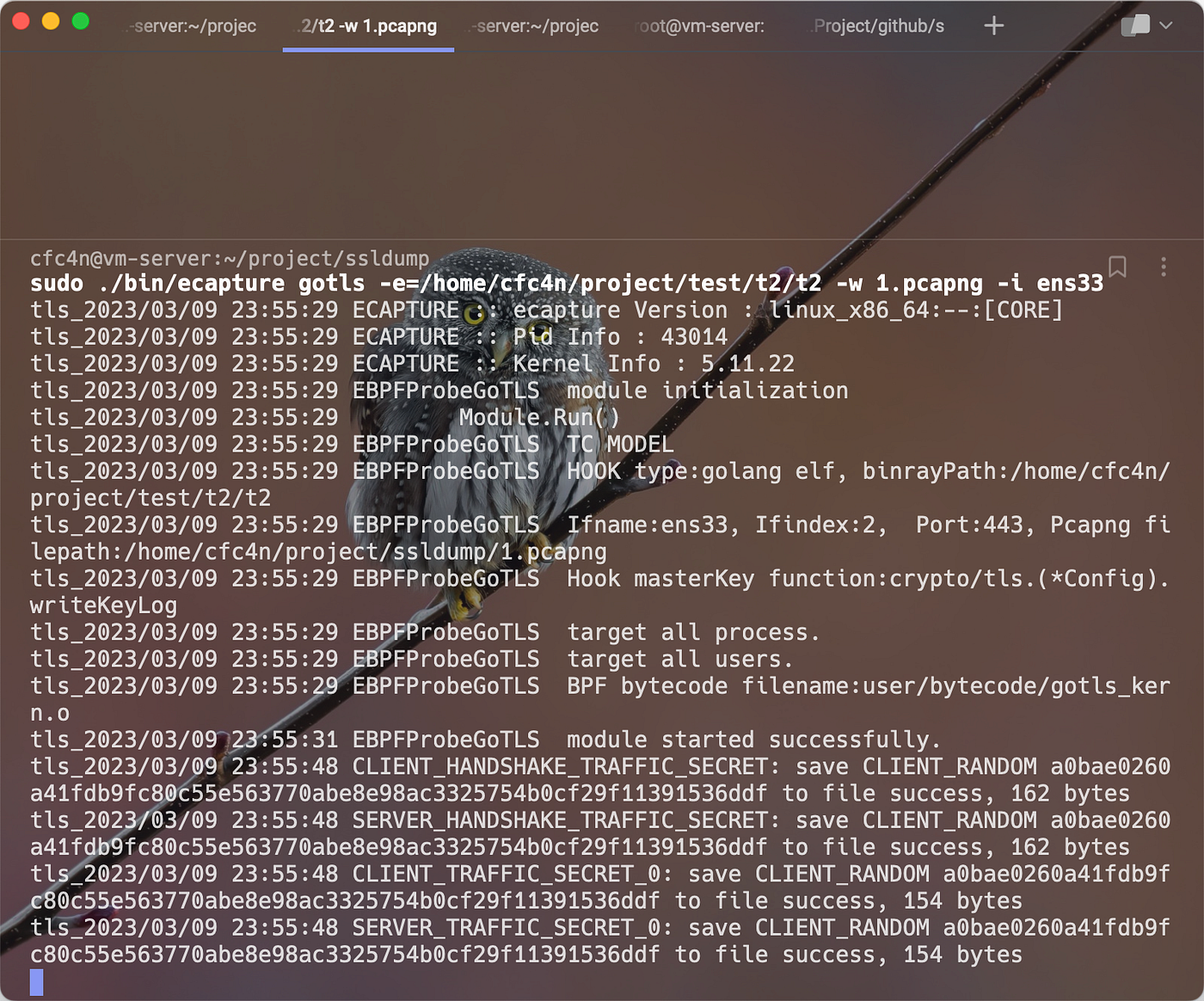 eCapture:supports capturing plaintext of Golang TLS/HTTPS traffic | by  CFC4N | Medium
