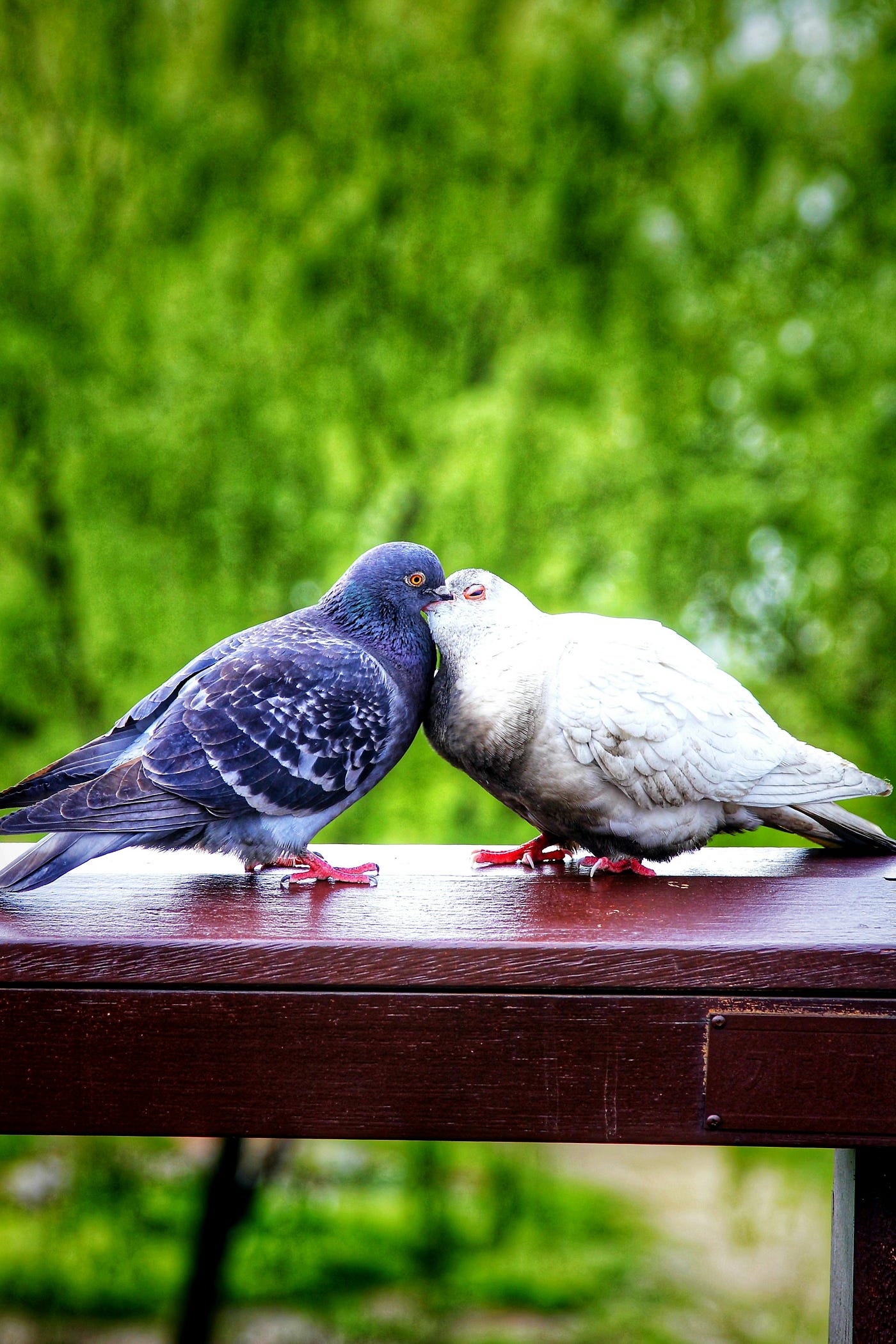 Photo by KS KYUNG on Unsplash