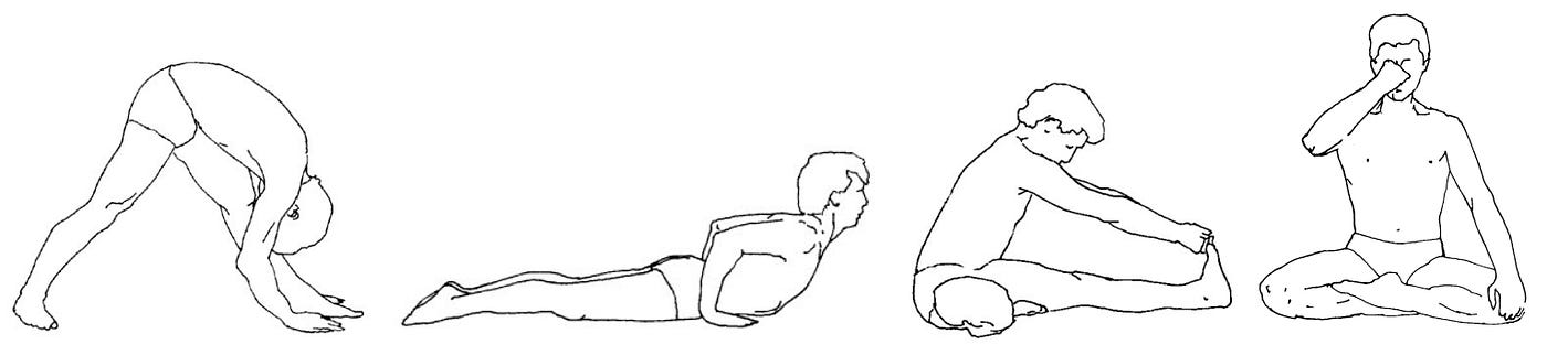 Āsana and Prāṇāyāma Practice Theory Questions 1–10 as a single Post