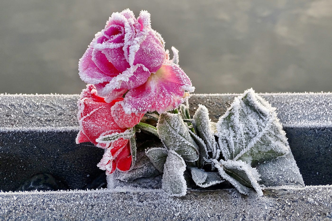Photo by Belinda Fewings on Unsplash