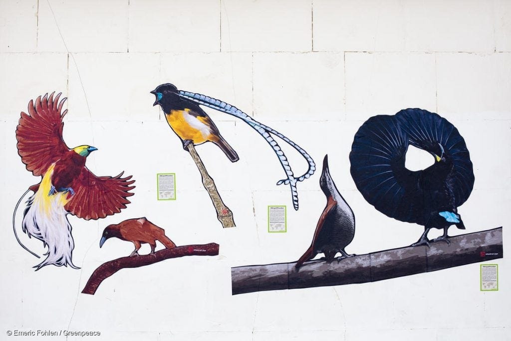 Wings of Paradise Drawing attention to rainforest destruction  