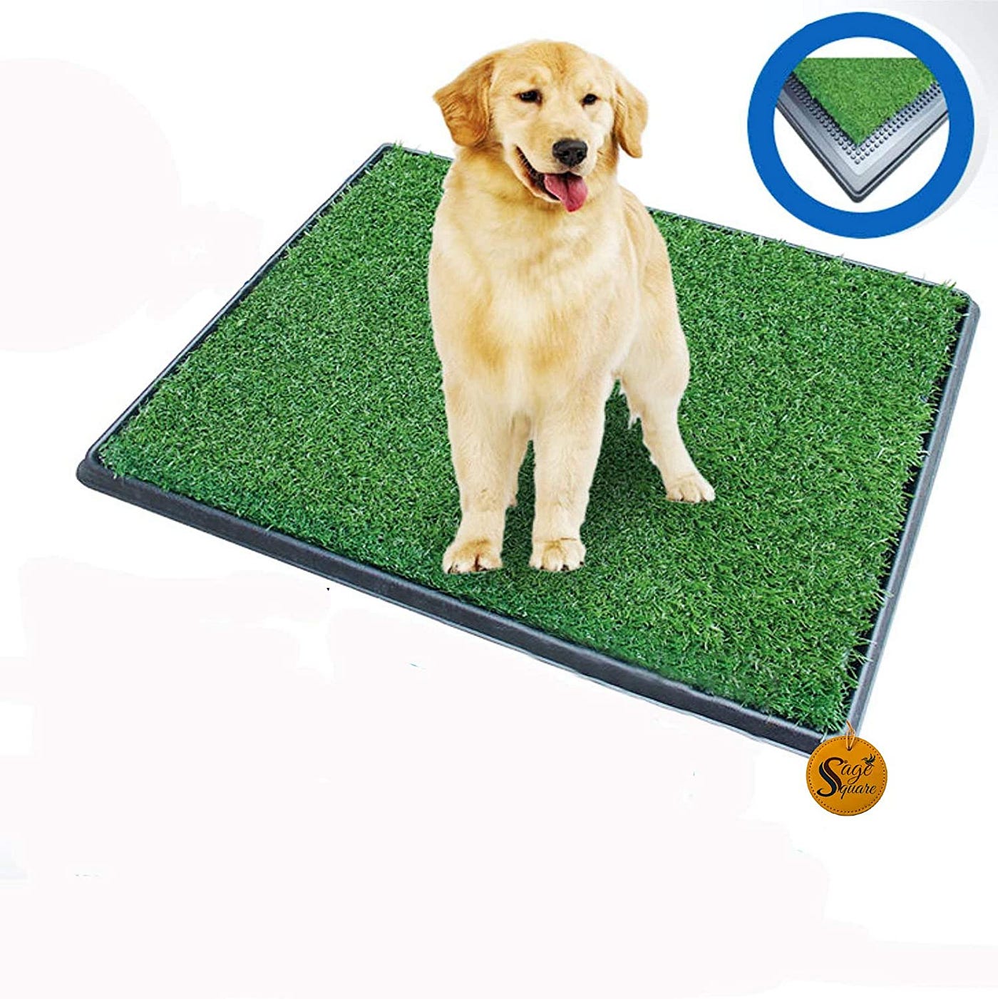 5 Best Dog Potty System, Best Indoor Dog Potty Systems | by The Dream Big  Generation | Medium