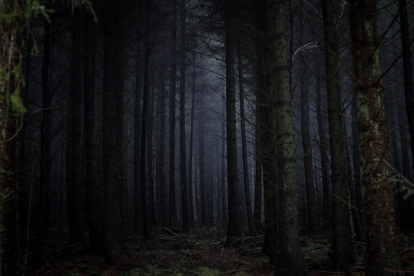 The Dark Forest Theory of the Internet, by Yancey Strickler