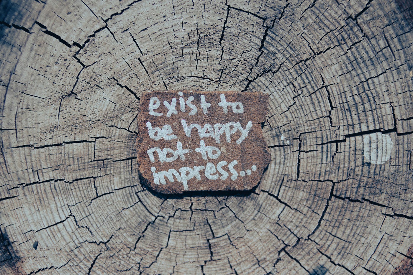 Photo by Erik Mclean on Unsplash
