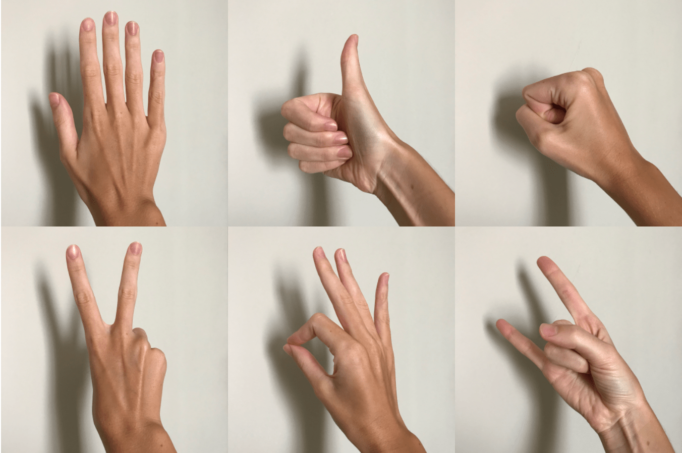 Gentle introduction to 2D Hand Pose Estimation: Approach Explained ...