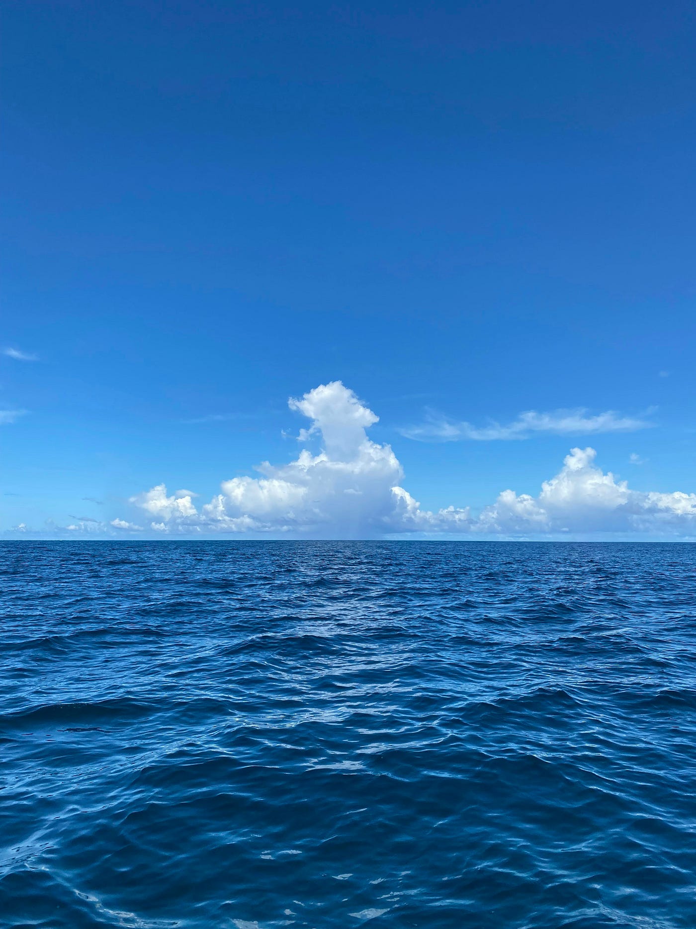 Photo by Varun Horril on Unsplash