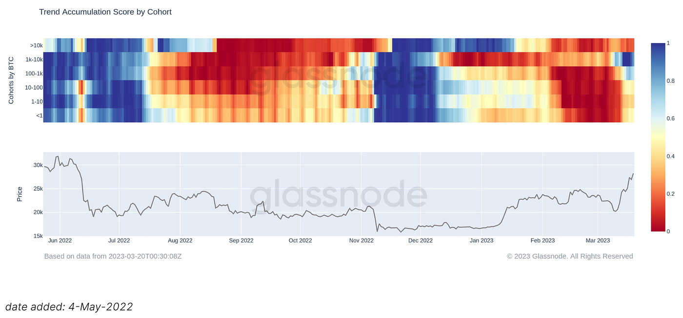 如月之恆，如日之升｜WTR 3.20