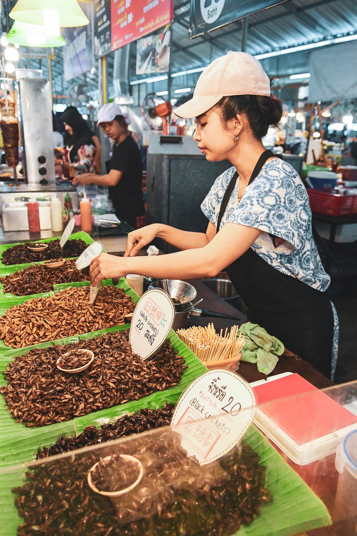 Why you should go to Chatuchak Weekend Market? | by Nindya Paramitha |  Medium