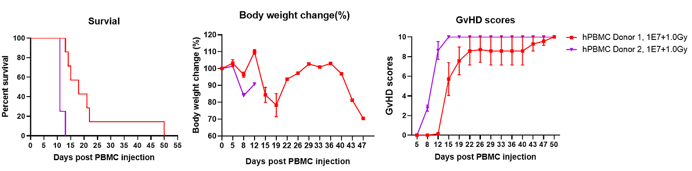 Survival curves, weight changes and clinical scores in humanized GvHD mouse models created using different human peripheral blood mononuclear cell (hPBMC) donors. Variations in GvHD severity may occur depending on the hPBMC donor used. Prior to selecting PBMC donors for preclinical efficacy testing, it is crucial to pre-characterize these donors by assessing survival rates, weight changes, and clinical GvHD scores.