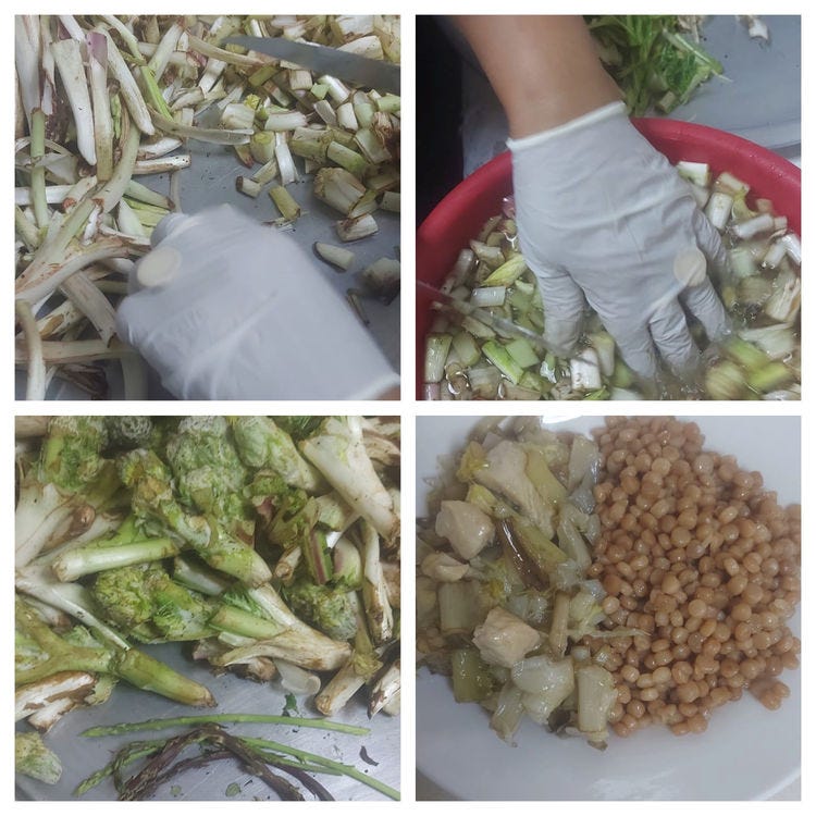 Akoub: A Palestinian Delicacy. Written for Food and Memory | by Farideh  Goldin | Medium