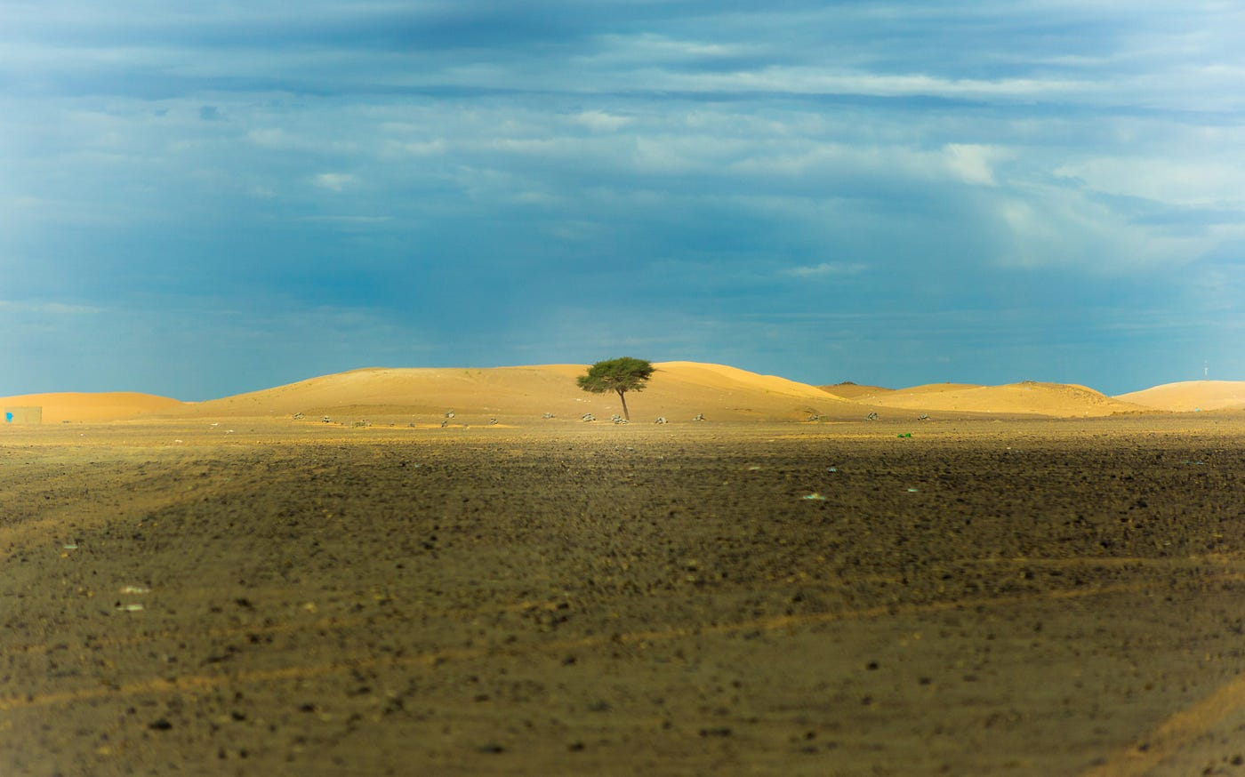 https://unsplash.com/photos/lone-tree-in-middle-of-desert-during-daytime-ulquHF89xuY