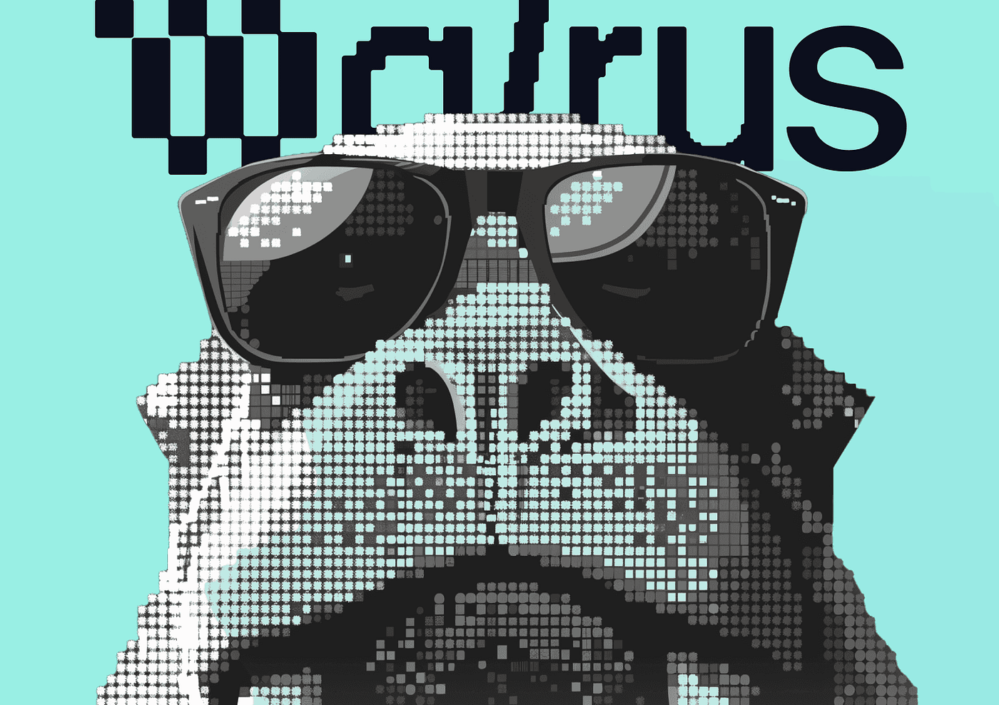 Walrus on Sui: Revolutionizing Decentralized Storage for Web3 Gaming and  Beyond | by Shelley Mae | Medium