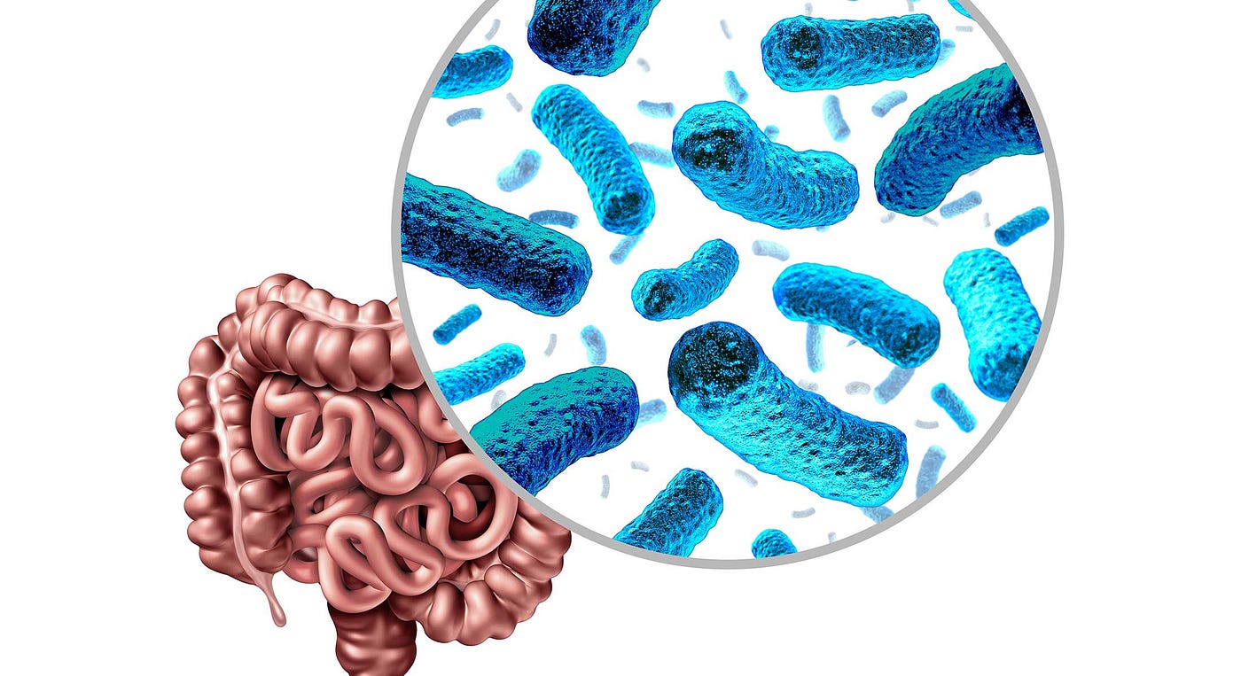 Our Gut Microbiota: The Tiny World Inside Us That Keeps Us Healthy