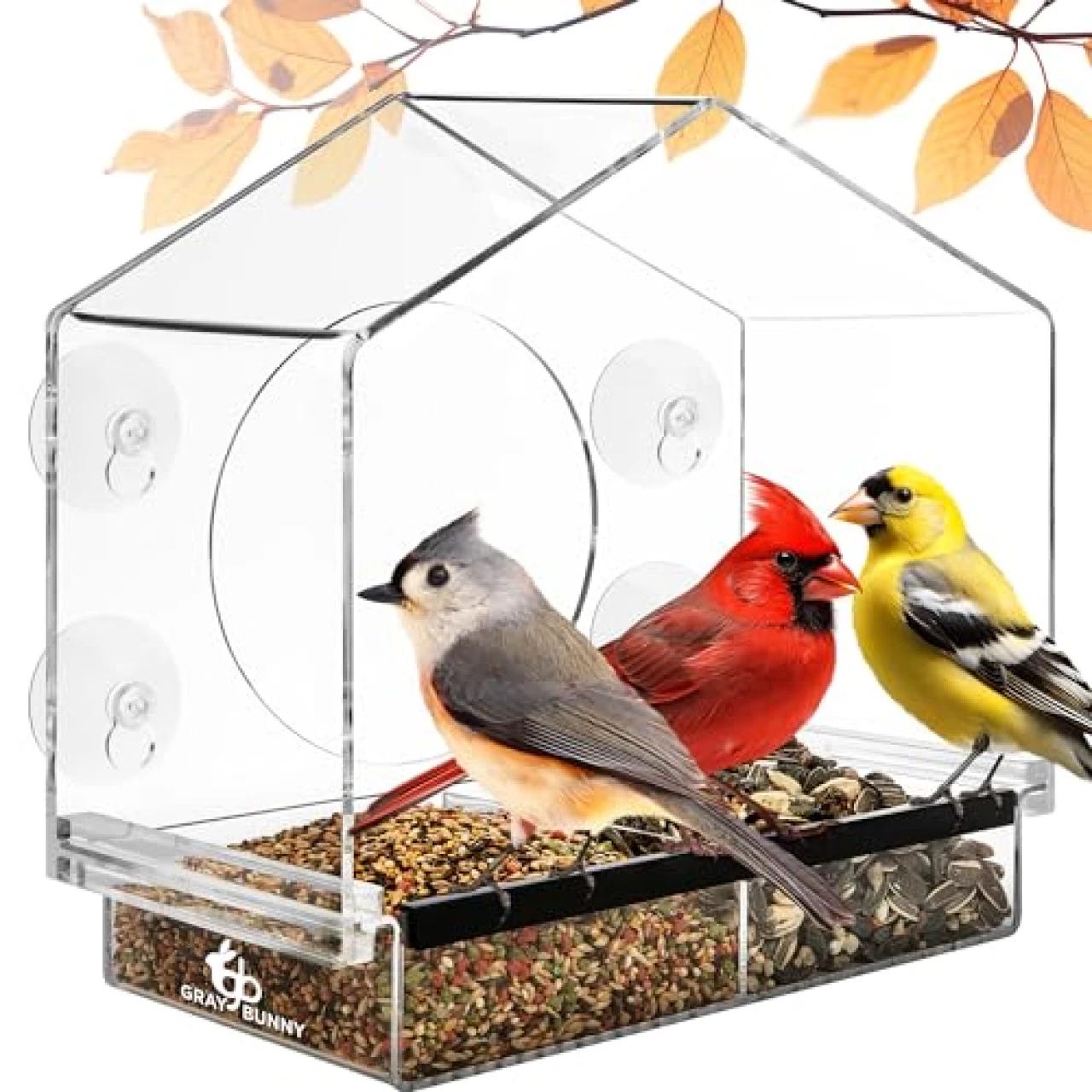 Homebird Window Bird Feeder with Strong Suction Cups Bird Window Feeder with