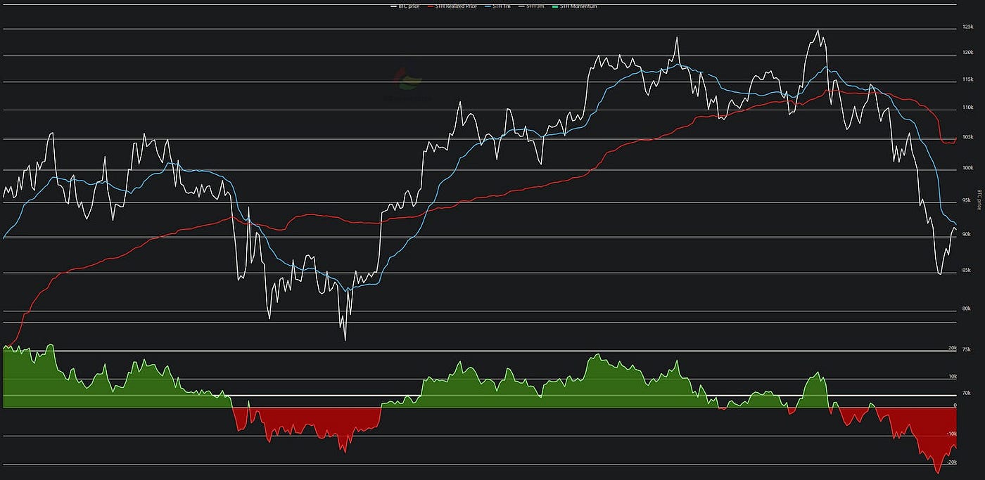 Bitcoin On-Chain Analysis. Navigating the November 2025 Correction… | by  Yavuz Akbay | Coinmonks | Nov, 2025 | Medium